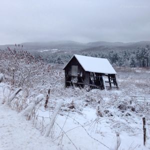IMG_5766 Snow Coated Farm.JPG